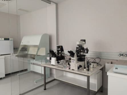 Laboratorio Ginemed Jerez (3)
