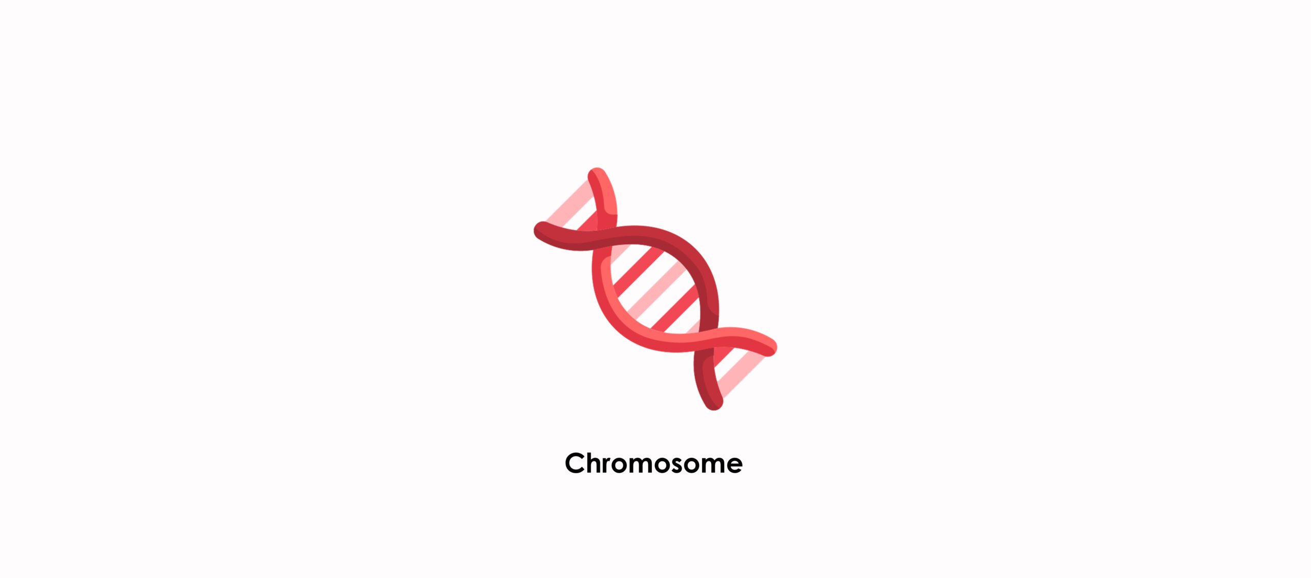 In most cases it is recommended that the woman undergo a karyotype (study of the chromosomes in the blood)