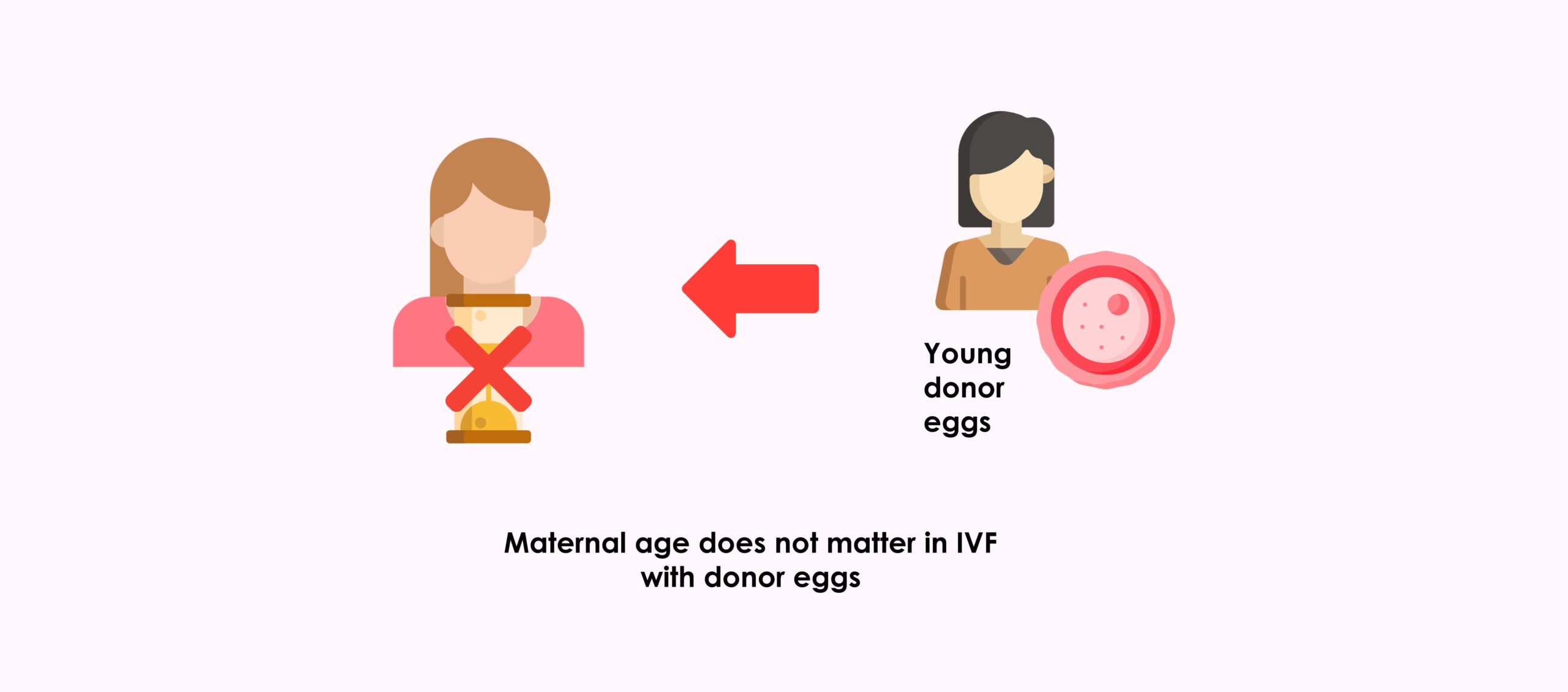 Donor egg pregnancy