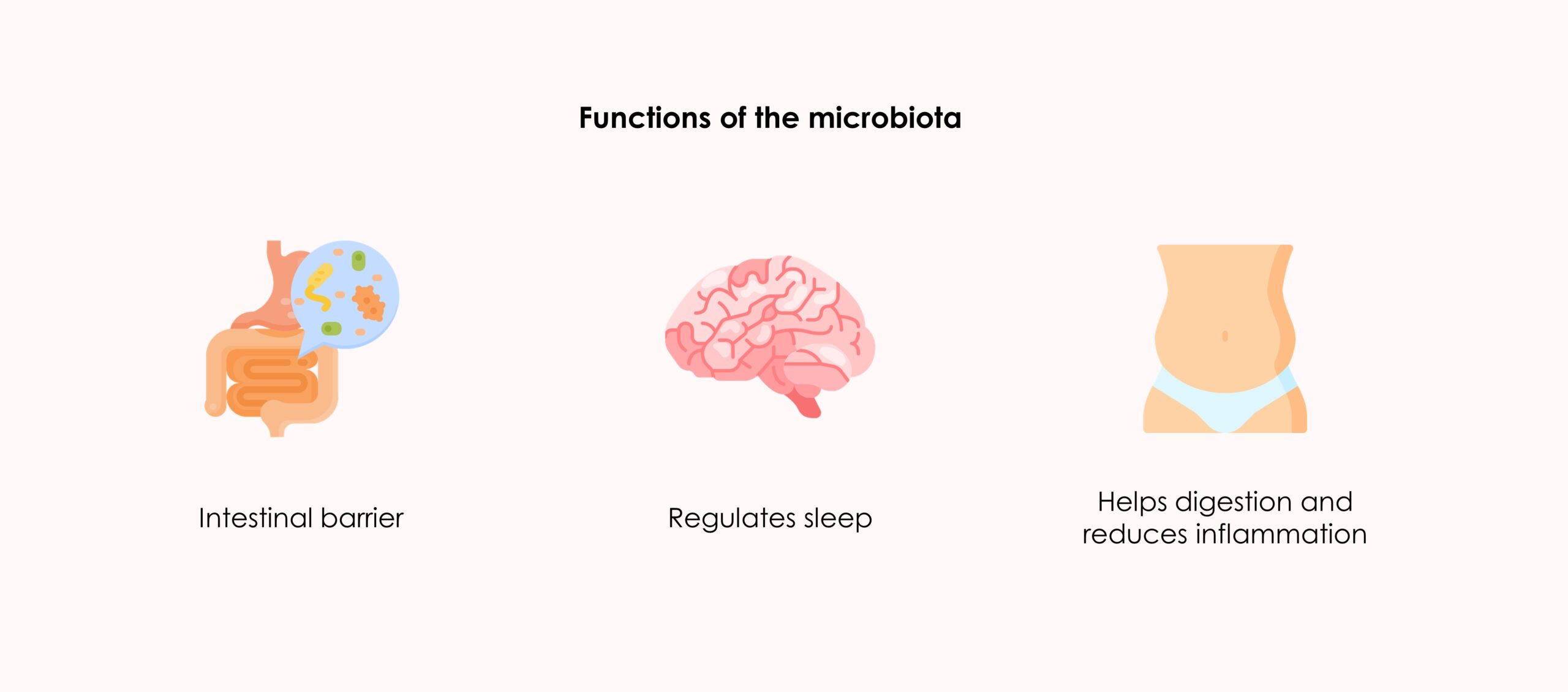 functions of the microbiota